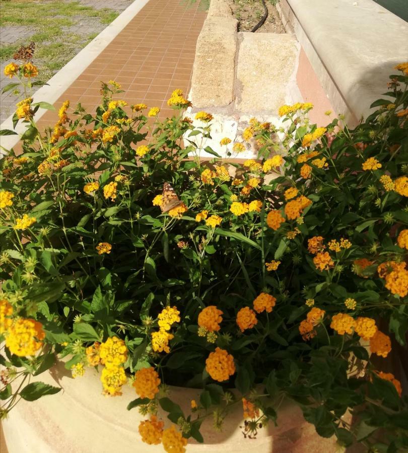 Al Palmento Cruillas Bed & Breakfast Syracuse